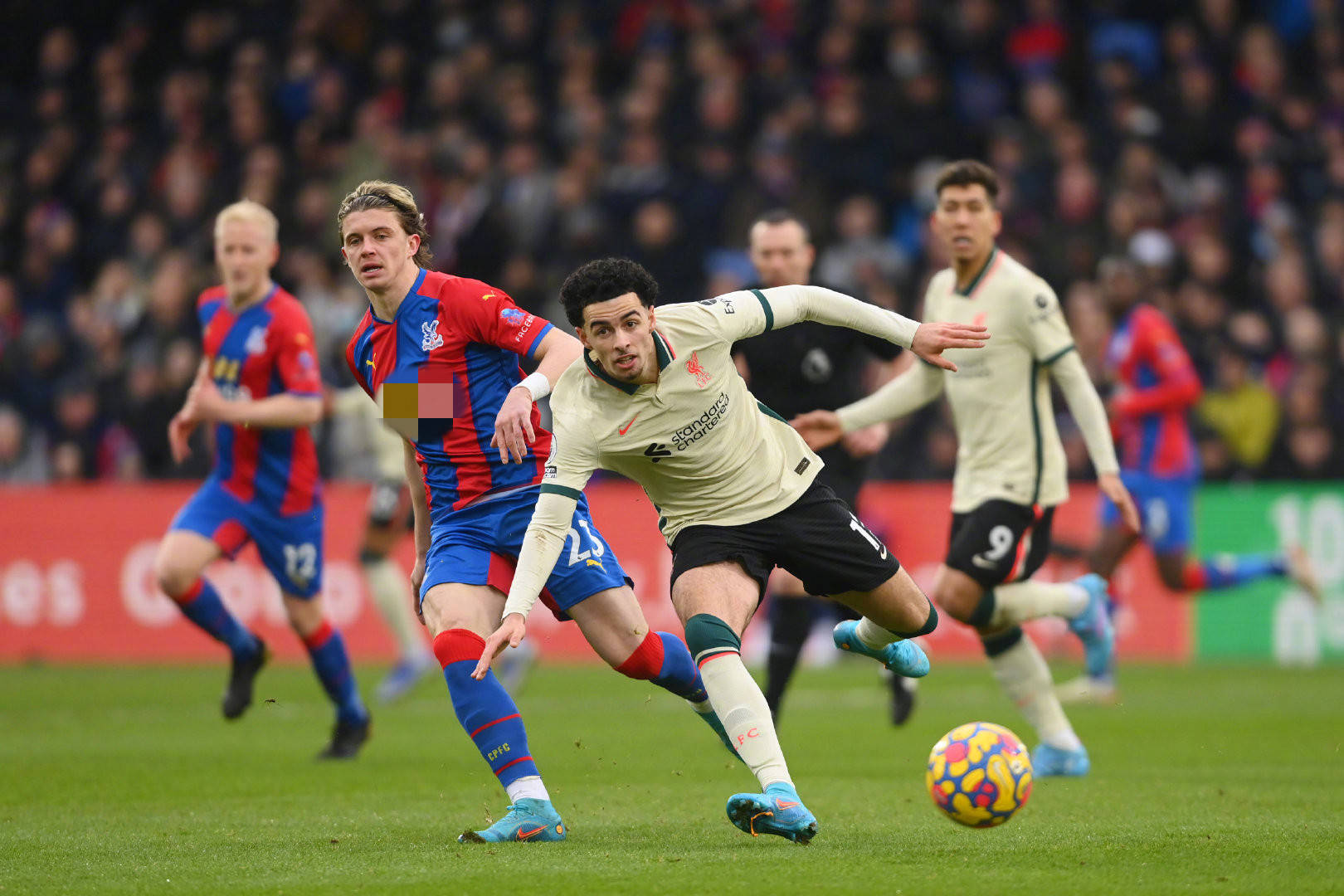 仅是两支强 仅是两支强